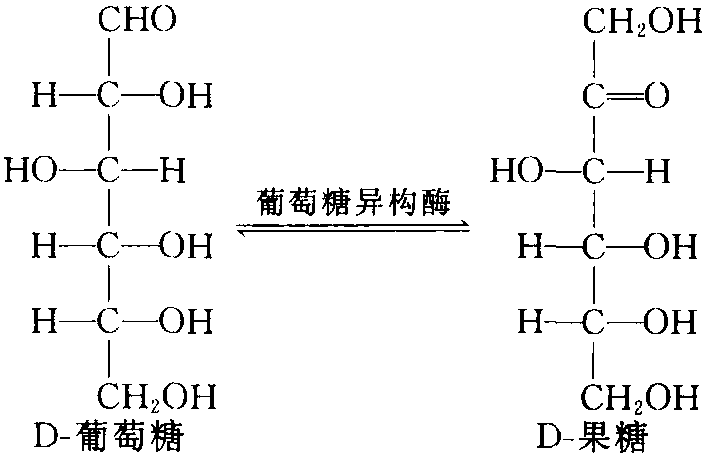 二、酶的分類